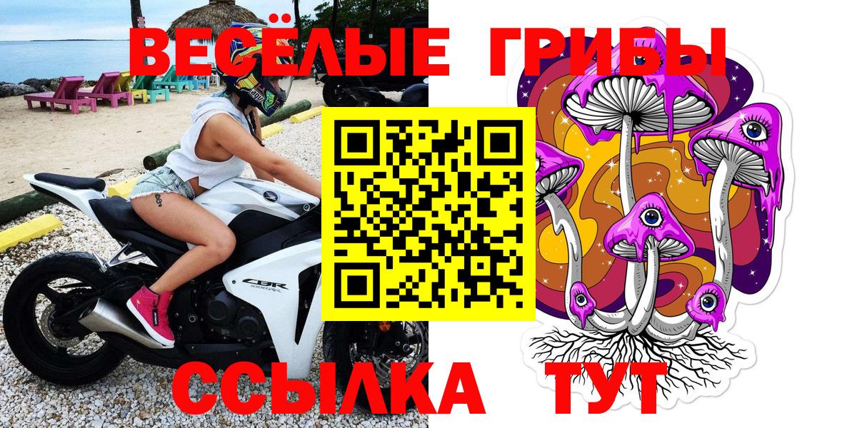 Псилоцибиновые грибы Psilocybine cubensis  Вход с VPN  Звенигород  Псилоцибиновые грибы Cubensis 