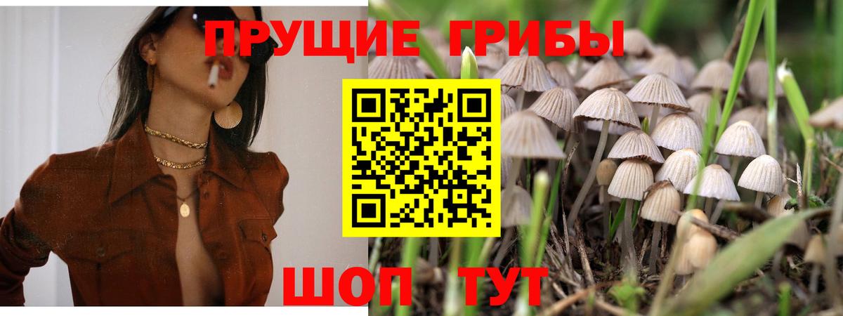 Псилоцибиновые грибы MAGIC MUSHROOMS Звенигород